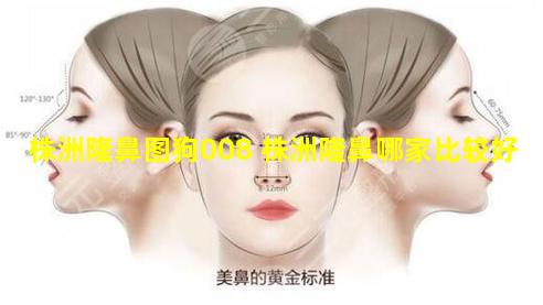 株洲隆鼻图狗008 株洲隆鼻哪家比较好